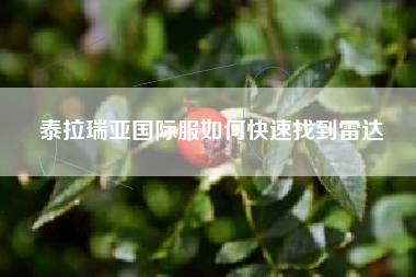 泰拉瑞亚国际服如何快速找到雷达