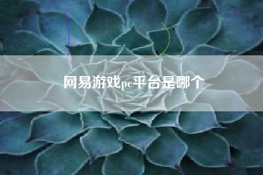 网易游戏pc平台是哪个