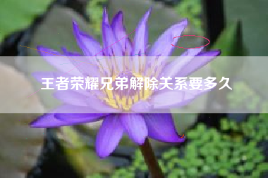 王者荣耀兄弟解除关系要多久