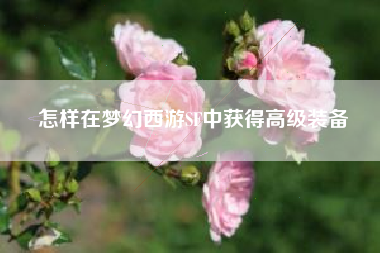 怎样在梦幻西游SF中获得高级装备