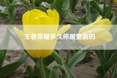 王者荣耀多久停服更新的