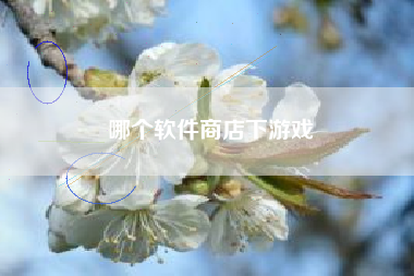 哪个软件商店下游戏