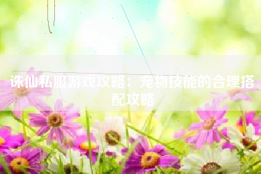 诛仙私服游戏攻略：宠物技能的合理搭配攻略