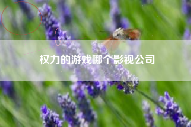 权力的游戏哪个影视公司