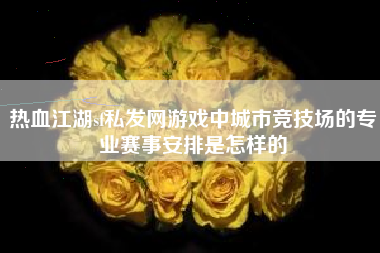 热血江湖sf私发网游戏中城市竞技场的专业赛事安排是怎样的