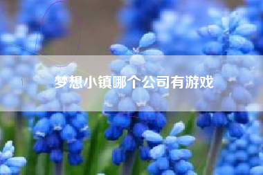 梦想小镇哪个公司有游戏
