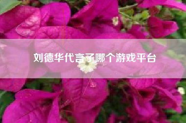 刘德华代言了哪个游戏平台