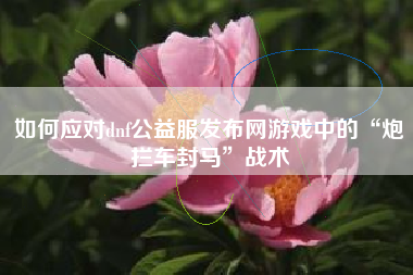 如何应对dnf公益服发布网游戏中的“炮拦车封马”战术