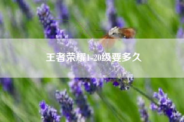 王者荣耀1-20级要多久