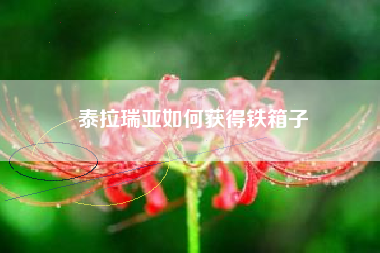 泰拉瑞亚如何获得铁箱子