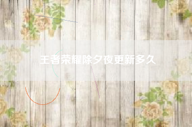 王者荣耀除夕夜更新多久