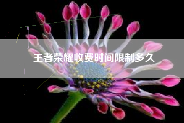 王者荣耀收费时间限制多久