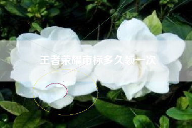 王者荣耀市标多久领一次