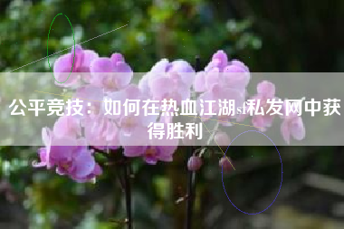 公平竞技：如何在热血江湖sf私发网中获得胜利