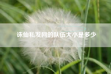 诛仙私发网的队伍大小是多少