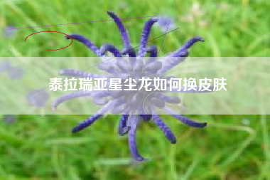 泰拉瑞亚星尘龙如何换皮肤