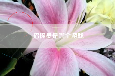 招探员是哪个游戏