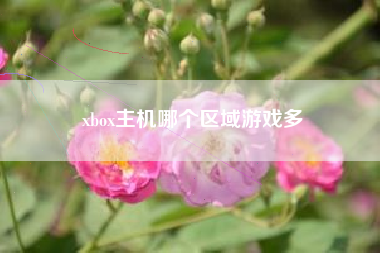 xbox主机哪个区域游戏多