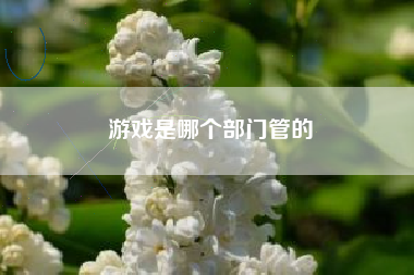 游戏是哪个部门管的