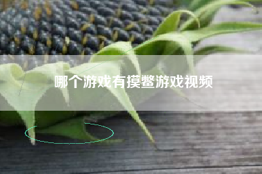 哪个游戏有摸鳖游戏视频