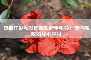 热血江湖私发网游戏新手引导：遭遇强敌的战术应对