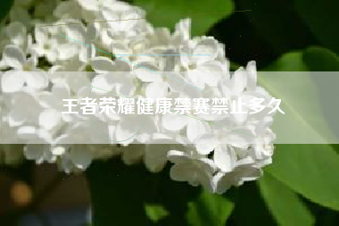 王者荣耀健康禁赛禁止多久