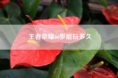 王者荣耀66岁能玩多久