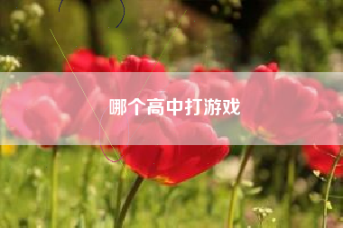 哪个高中打游戏