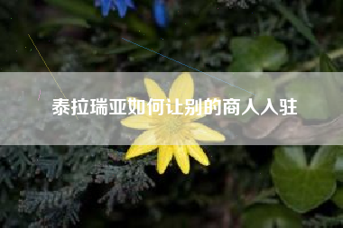 泰拉瑞亚如何让别的商人入驻