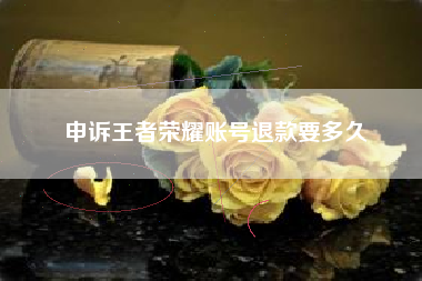 申诉王者荣耀账号退款要多久