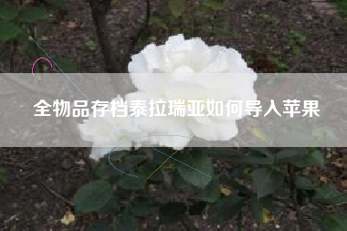 全物品存档泰拉瑞亚如何导入苹果