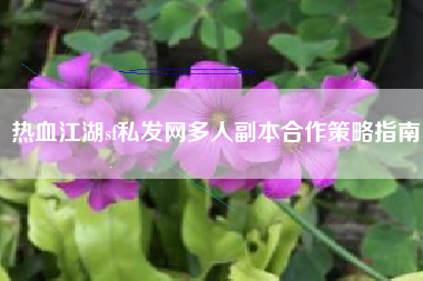 热血江湖sf私发网多人副本合作策略指南