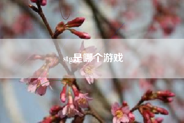 stg是哪个游戏