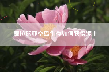 泰拉瑞亚空岛生存如何获得泥土