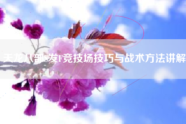 天龙八部S发F竞技场技巧与战术方法讲解