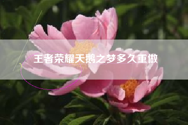 王者荣耀天鹅之梦多久重做