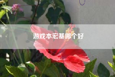 游戏本宏基哪个好