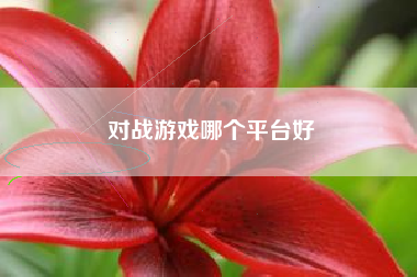 对战游戏哪个平台好