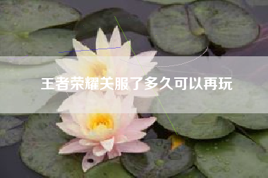 王者荣耀关服了多久可以再玩