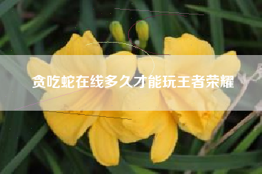 贪吃蛇在线多久才能玩王者荣耀
