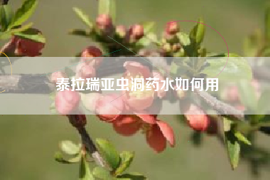 泰拉瑞亚虫洞药水如何用