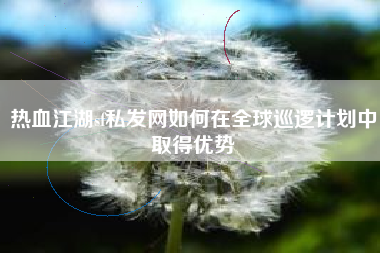 热血江湖sf私发网如何在全球巡逻计划中取得优势