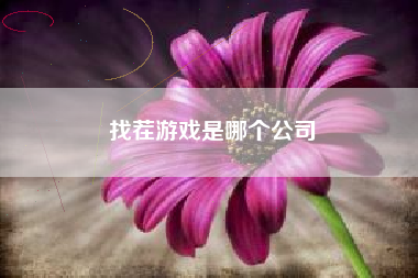 找茬游戏是哪个公司
