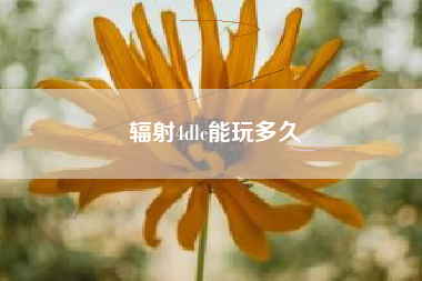 辐射4dlc能玩多久