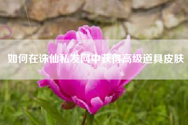 如何在诛仙私发网中获得高级道具皮肤