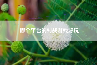 哪个平台的对战游戏好玩