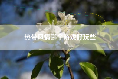 热带风情哪个游戏好玩些
