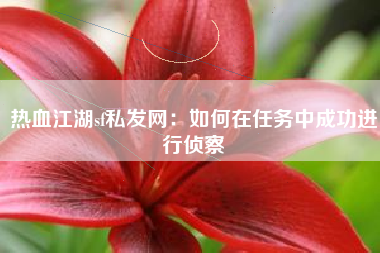 热血江湖sf私发网：如何在任务中成功进行侦察