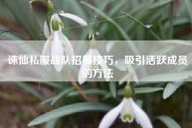 诛仙私服战队招募技巧，吸引活跃成员的方法