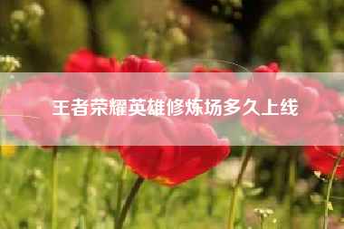 王者荣耀英雄修炼场多久上线